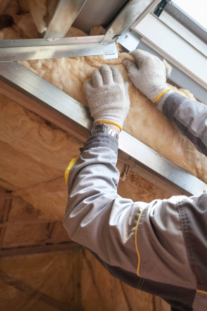 Best Wall Insulation Contractor  in Hustisford, WI